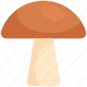 thanksgiving, mushroom, food, autumn, vegetable