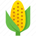 thanksgiving, corn, vegetable, food, maize