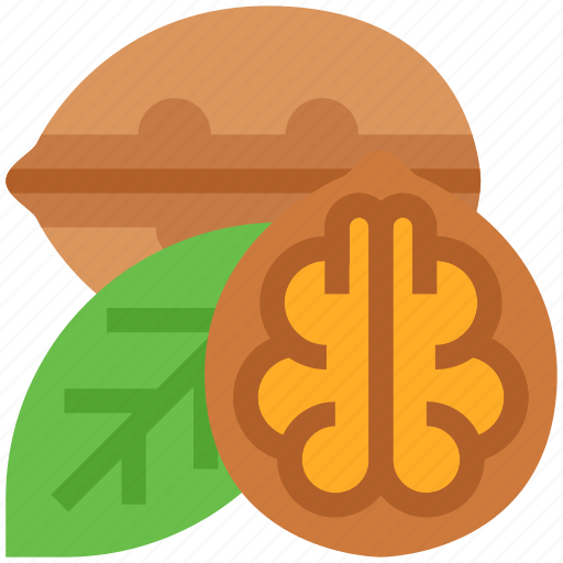 Thanksgiving, walnut, leaf, autumn icon - Download on Iconfinder
