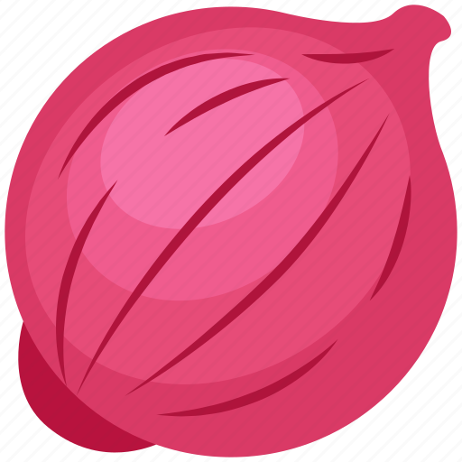 Thanksgiving, onion, vegetable, food, spice icon - Download on Iconfinder