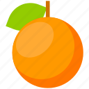 thanksgiving, orange, fruit, food