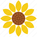 thanksgiving, flower, nature, sunflower