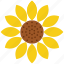 thanksgiving, flower, nature, sunflower 