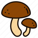 mushroom, mushrooms, muscaria, fungi, nature, food, organic