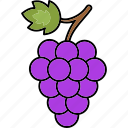grapes, fruit, food, healthy, fresh, wine, grape, delicious, organic