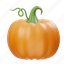 pumpkin, thanksgiving, halloween, vegetable, food 