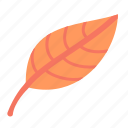 leaf, autumn leaf, fall leaf, fall, season, red, yellow, orange, autumn leaves
