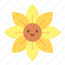 sunflower, flower, bloom, yellow, yellow flower, sun, blossom, floral, plant
