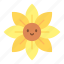 sunflower, flower, bloom, yellow, yellow flower, sun, blossom, floral, plant 