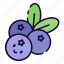 blueberry, berry, fruit, berries, blueberries, fresh, harvest, thanksgiving, autumn 