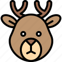 animal, caribou, christmas, deer, reindeer, reindeer sled