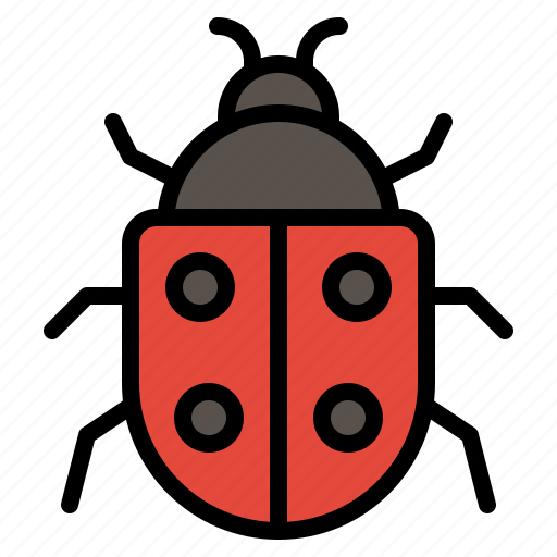 Beetles, bug, insect, insects, ladybug icon - Download on Iconfinder