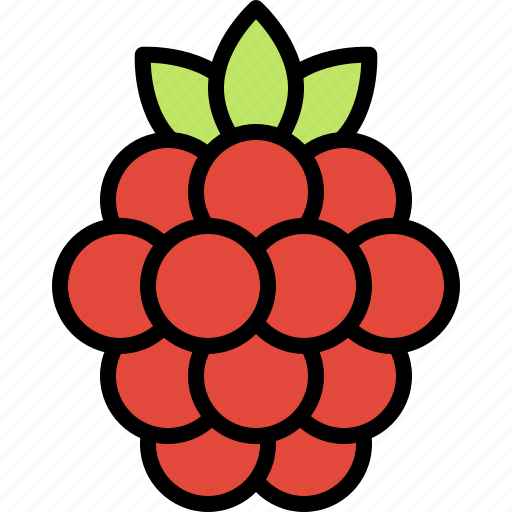 Fruit, grape, sweet icon - Download on Iconfinder