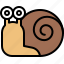 coiled shell, gastropod, patience, slow, snail 