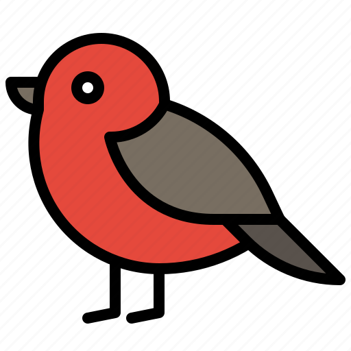 Bird, nature, redbreast, robin bird icon - Download on Iconfinder