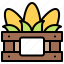 corn, corns, food, organic, vegetable, wooden case