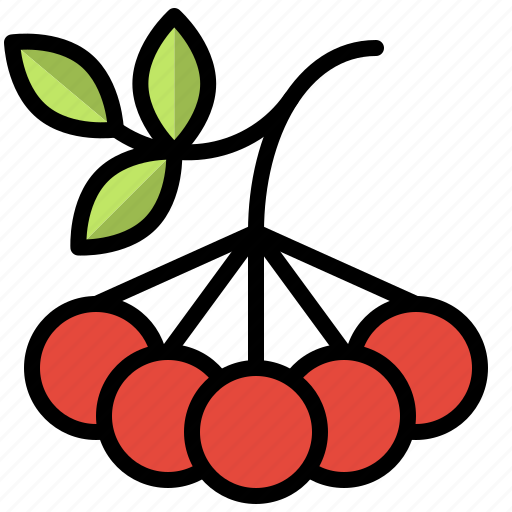 Cherry, fruit, grape, olive icon - Download on Iconfinder