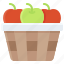 apples, basket, fresh, fruits, healthy 