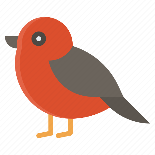 Bird, nature, redbreast, robin bird icon - Download on Iconfinder