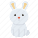 bunny, cute, rabbit, rodent