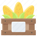 corn, corns, food, organic, vegetable, wooden case