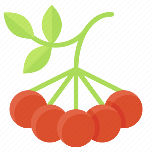 Cherry, food, fruit, grape, olive icon - Download on Iconfinder