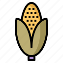 maize, corn, agriculture, thanksgiving, plant