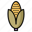 maize, corn, agriculture, thanksgiving, plant 