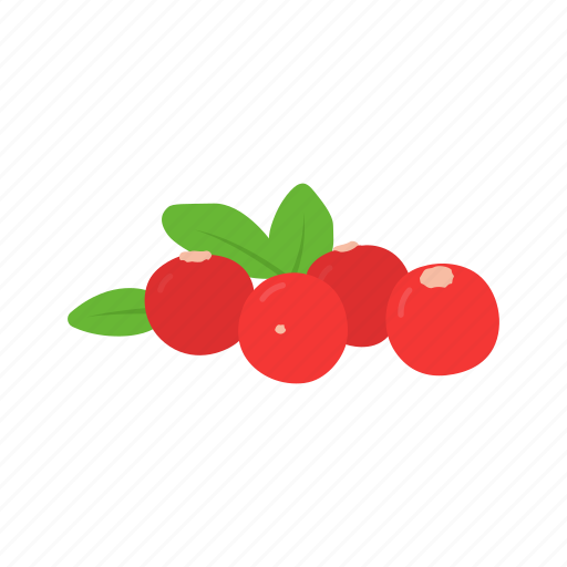 Berries, cranberries, fruit, red berries icon - Download on Iconfinder