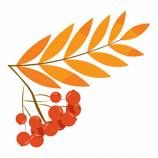 Ashberry, berry, branch, bunch, cartoon, ripe, rowanberry branch icon - Download on Iconfinder