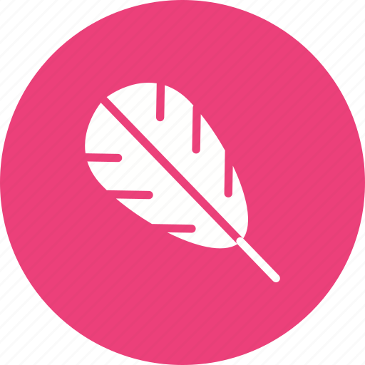 Bird, decorative, drawn, feather, graphic, hand, set icon - Download on Iconfinder
