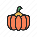 thanksgiving, holiday, autumn, fall, happy, season, pumpkin, vegetable