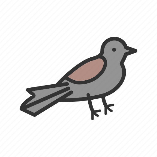 Beautiful, bird, card, cute, pretty, sparrow, thanksgiving icon - Download on Iconfinder