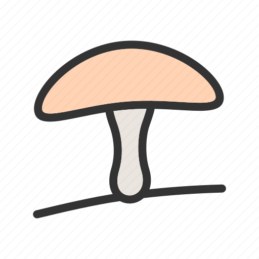 Food, gourmet, healthy, mushroom, organic, oyster icon - Download on Iconfinder