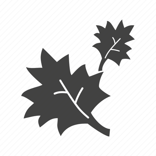 Fall, fall leaves, leaf, maple leaf icon - Download on Iconfinder