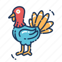 bird, turkey, animal, thanksgiving