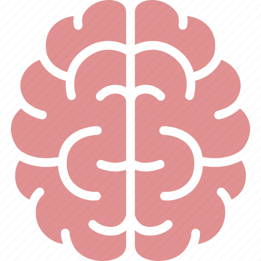 Brain, brainstorm, intelligence, intelligent, mind, organ, smart icon - Download on Iconfinder