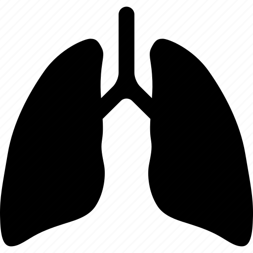 Cancer, lung, lungs, organ, respiratory, system, ventilatory icon - Download on Iconfinder