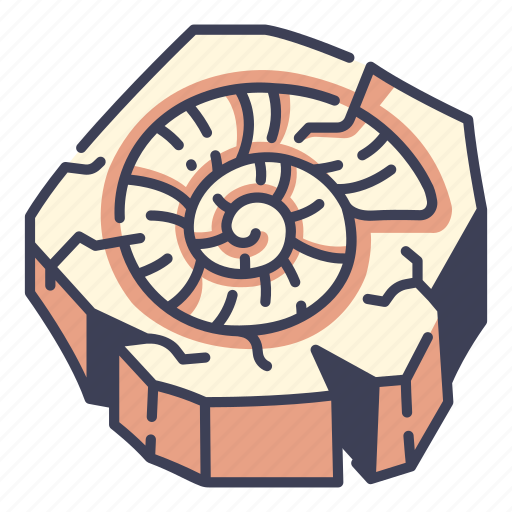 Fossil, old, rock, shell, snail, spiral, stone icon - Download on Iconfinder