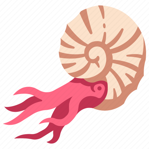 Ammonite, ancient, animal, dinosaur, fossil, jurassic, shell icon - Download on Iconfinder