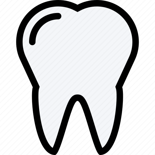 Dentist, dentistry, health, medical, tooth icon - Download on Iconfinder