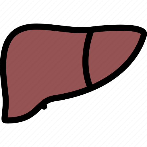 Anatomi, detoksifikasi, hepatologi, liver, organs icon - Download on Iconfinder