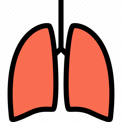 Anatomy, breath, human, lungs icon - Download on Iconfinder