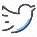 bird, media, network, social, sparrow, tweet, twitter