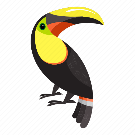 Beach, cartoon, floral, flower, hand, parrot, toucan icon - Download on Iconfinder