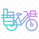 bicycle, postman, touring, transport, vehicle