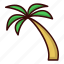 beach, coconut, tree 