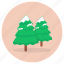 pine, trees, pine trees, winter trees, snow covered trees, fir trees, evergreen 