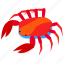 crab, sea, seafood, beach 