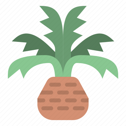 Palm, tree, nature, forest, plant, lanscape icon - Download on Iconfinder
